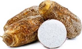 Jumbo Taro Root per LB